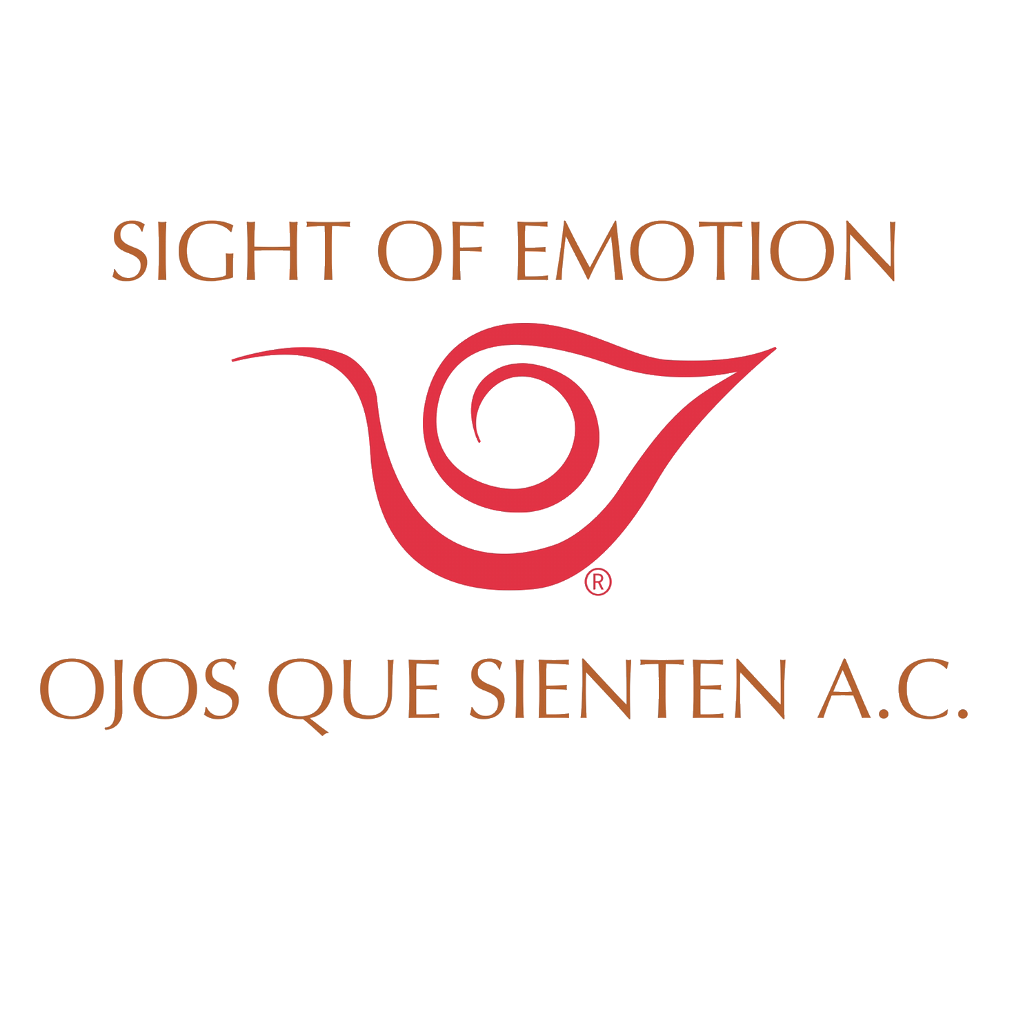 OJOS QUE SIENTEN